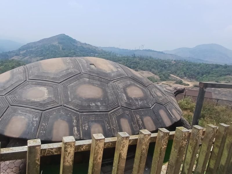 Amappara view