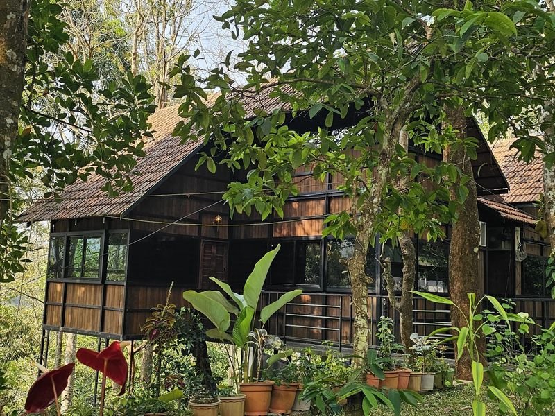 Greenery Places tourists visits 2
