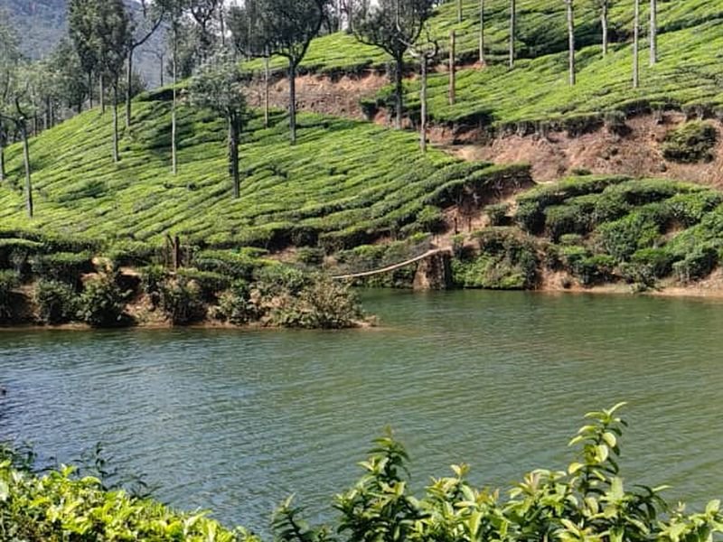 Munnar View ww