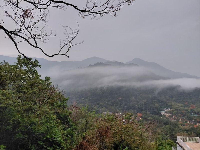 Munnar view with fog