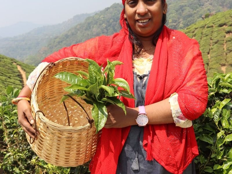 Tourist in Tea plantation posing for photo