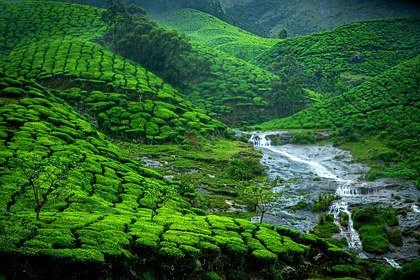 Munnar tea gardens waterfall
