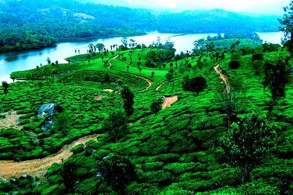Aerial view Munnar lake