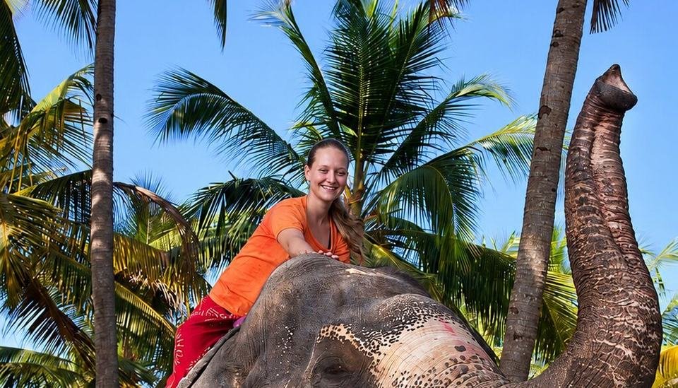 Elephant ride Kerala